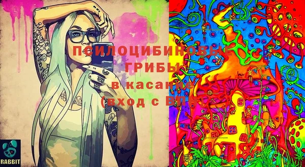 хмурый Навашино