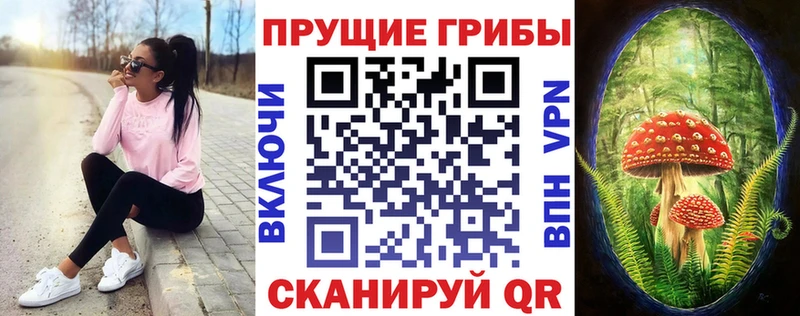 Галлюциногенные грибы Psilocybine cubensis  закладка  Отрадное 